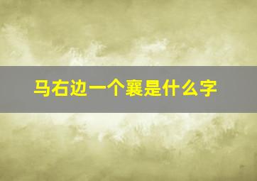 马右边一个襄是什么字