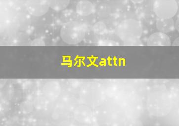 马尔文attn