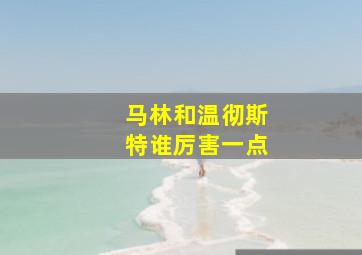 马林和温彻斯特谁厉害一点