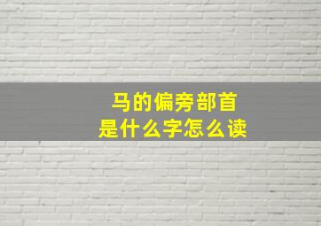 马的偏旁部首是什么字怎么读