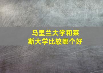 马里兰大学和莱斯大学比较哪个好