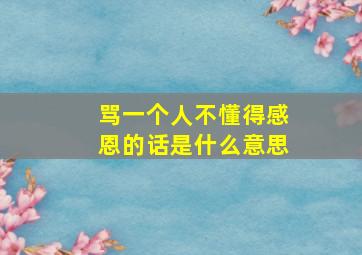 骂一个人不懂得感恩的话是什么意思