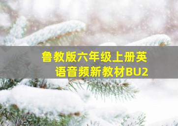 鲁教版六年级上册英语音频新教材BU2