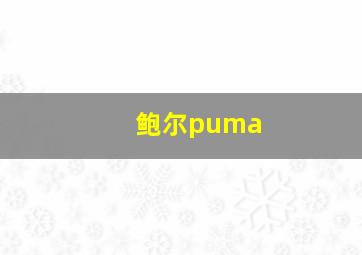 鲍尔puma