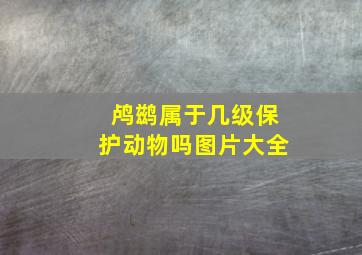 鸬鹚属于几级保护动物吗图片大全