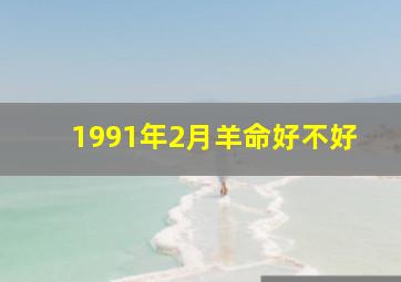 1991年2月羊命好不好