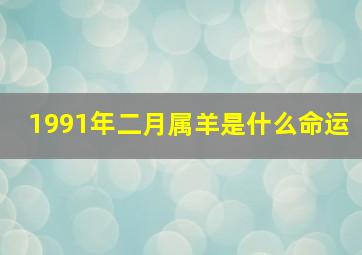 1991年二月属羊是什么命运