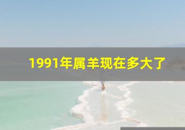 1991年属羊现在多大了