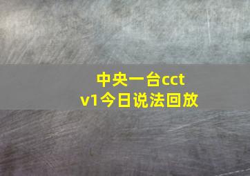 中央一台cctv1今日说法回放