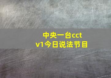 中央一台cctv1今日说法节目