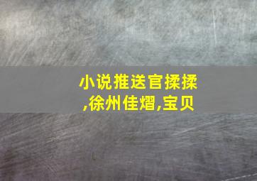 小说推送官揉揉,徐州佳熠,宝贝