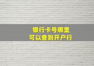 银行卡号哪里可以查到开户行